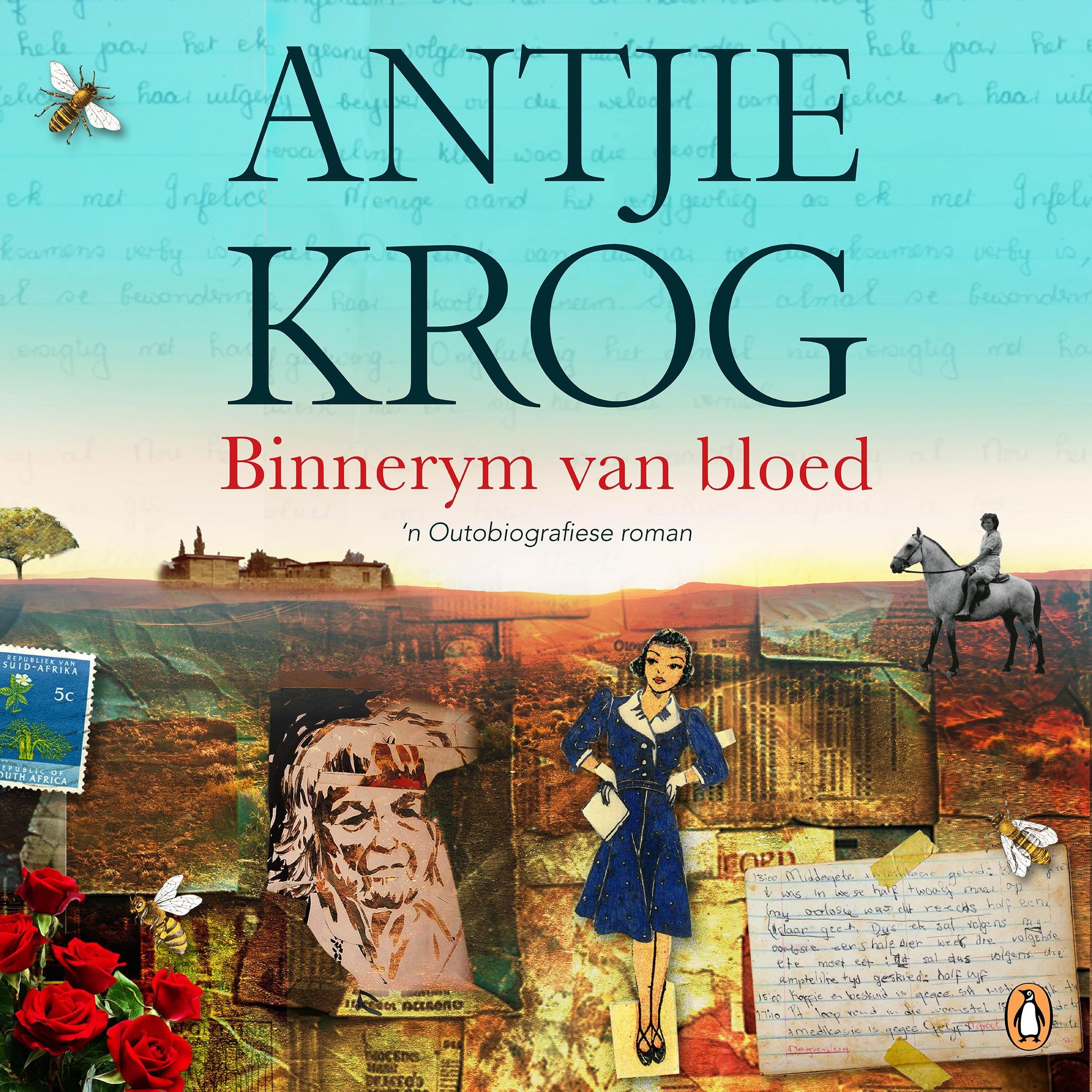 Binnerym van Bloed book cover