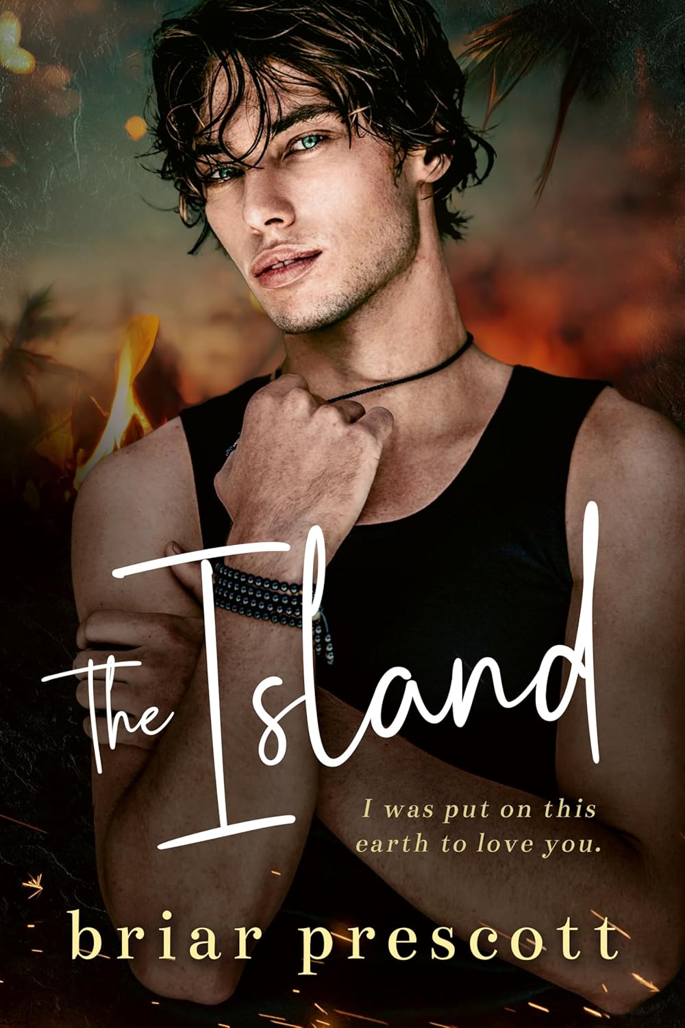 The Island book cover