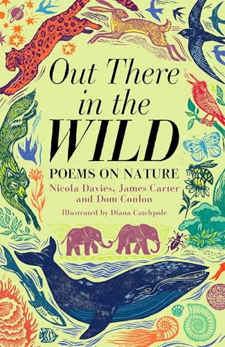 Out There in the Wild book cover