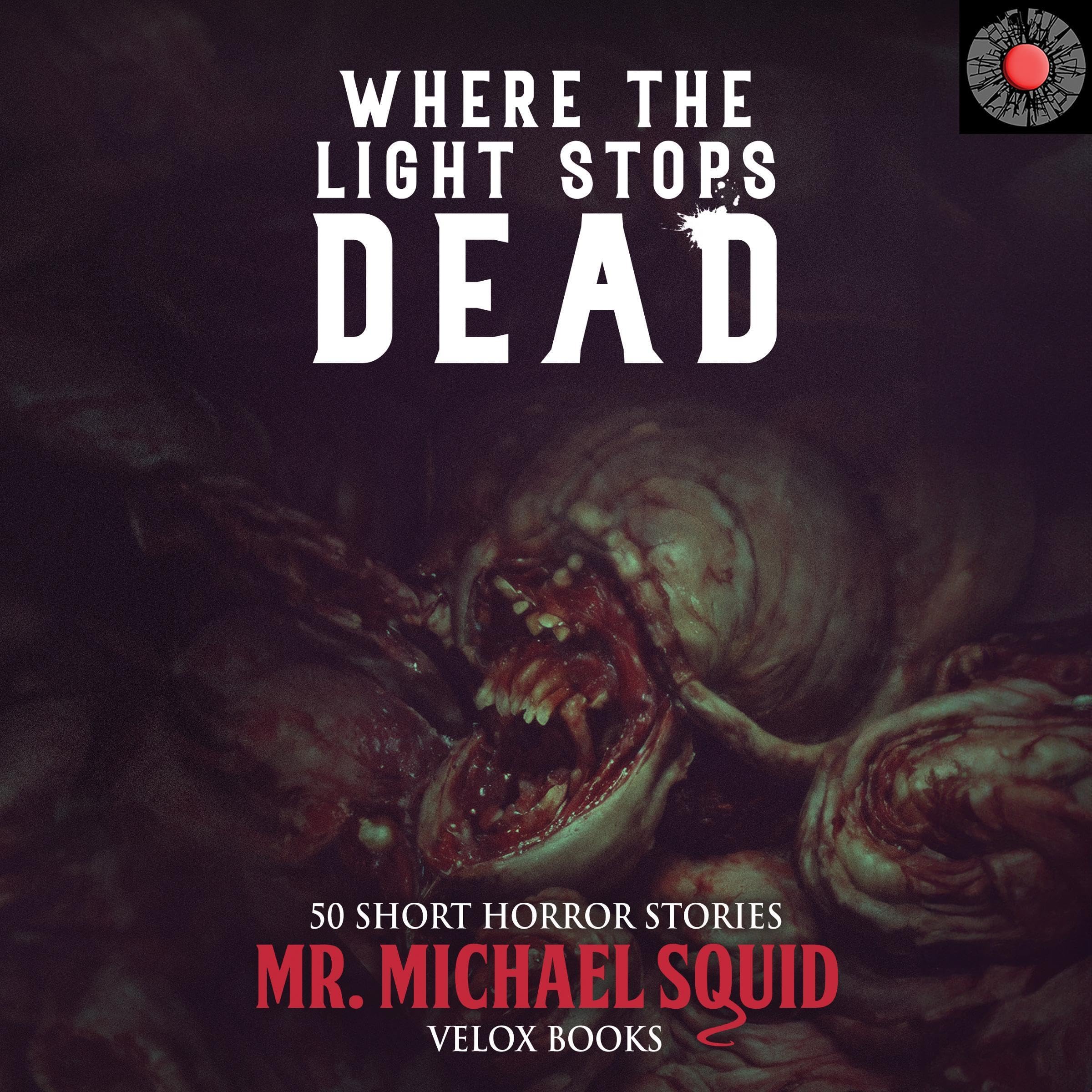 Where the Light Stops Dead book cover