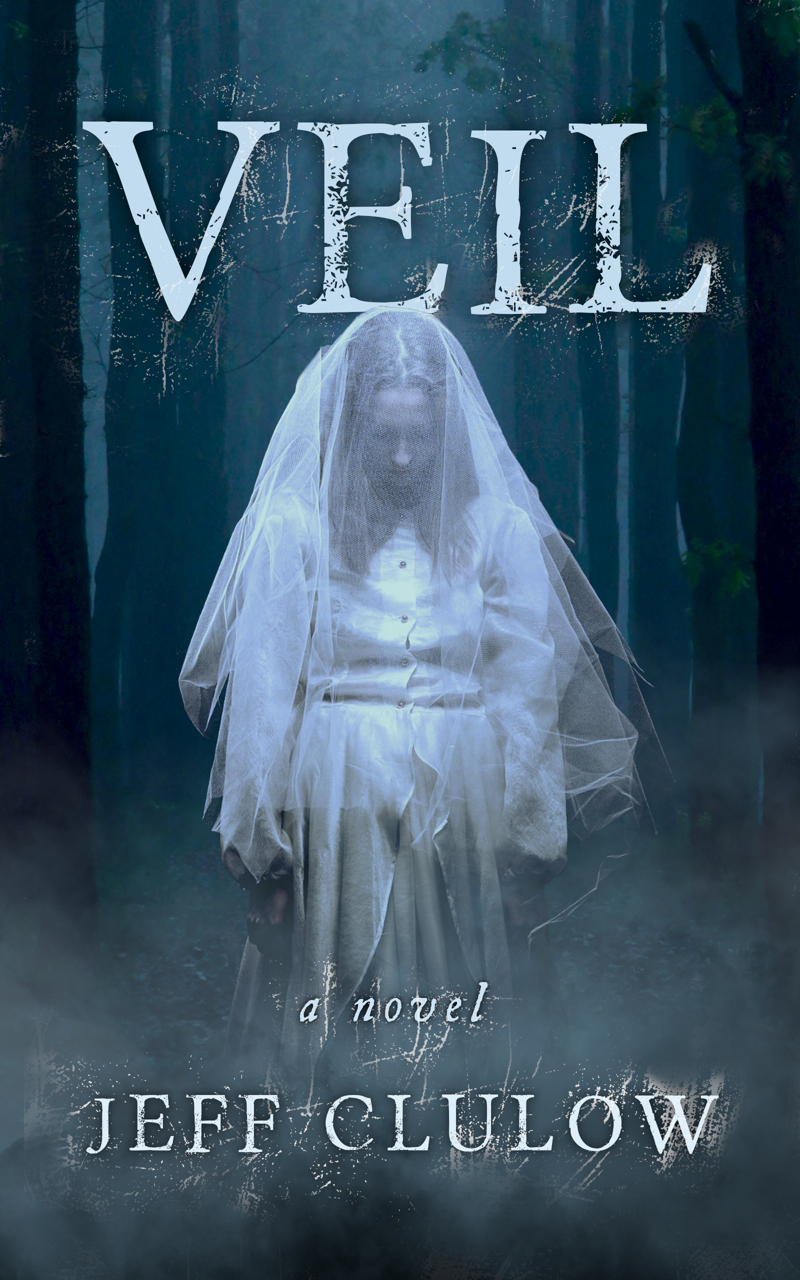 Veil book cover