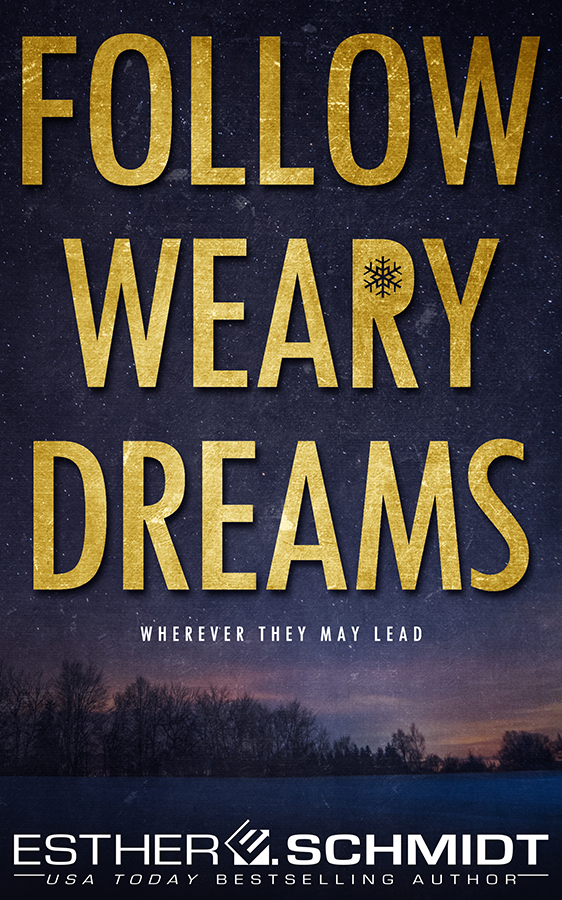 Follow Weary Dreams book cover