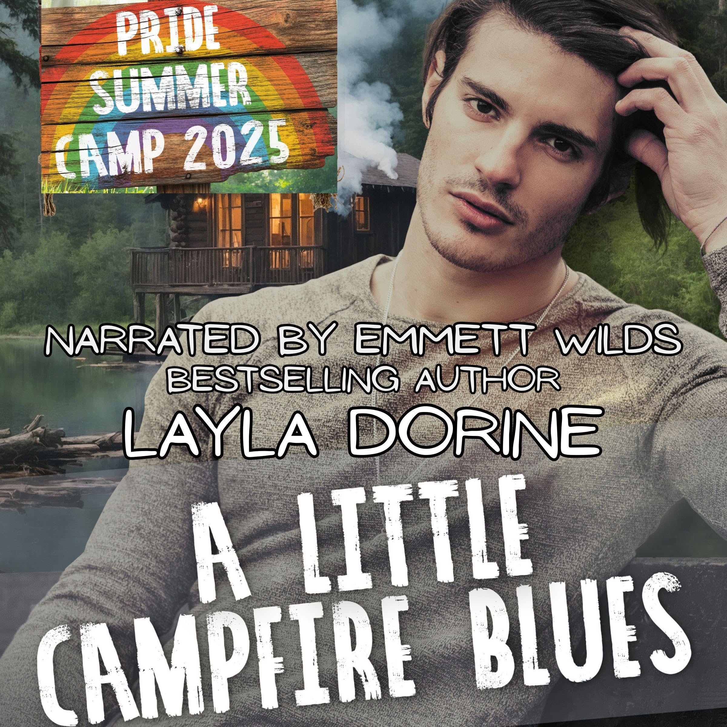 A Little Campfire Blues book cover