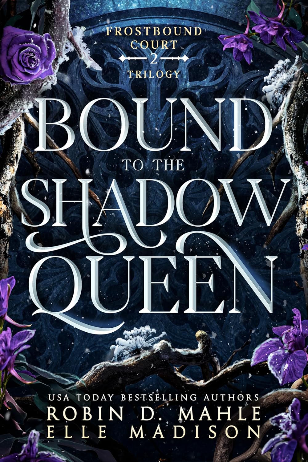 Bound to the Shadow Queen book cover