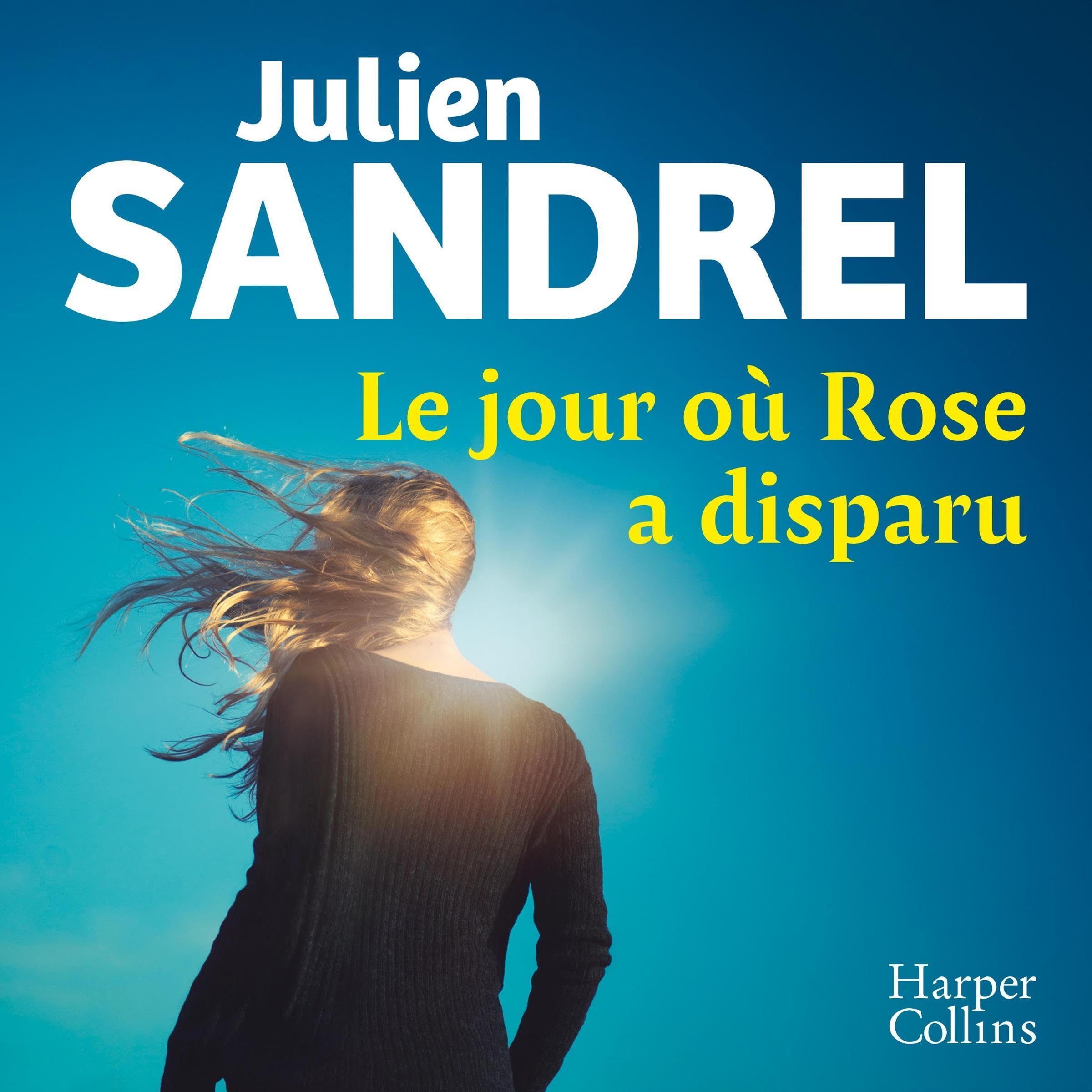 Le jour où Rose a disparu book cover