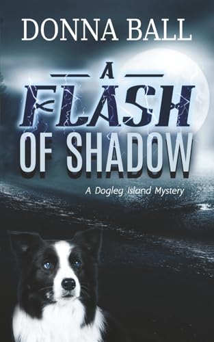 A Flash of Shadow book cover