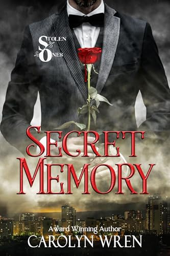 Secret Memory book cover