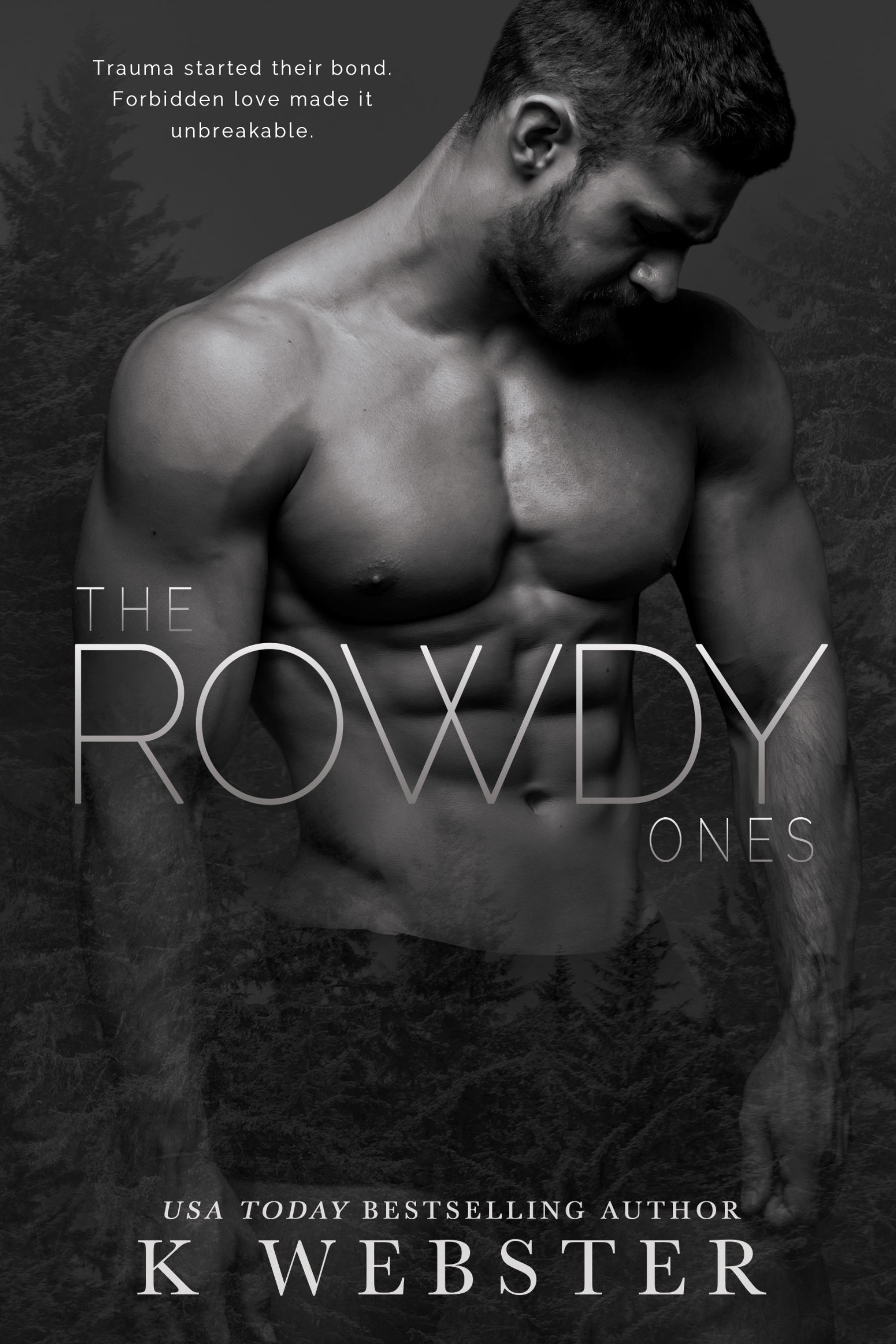 The Rowdy Ones book cover
