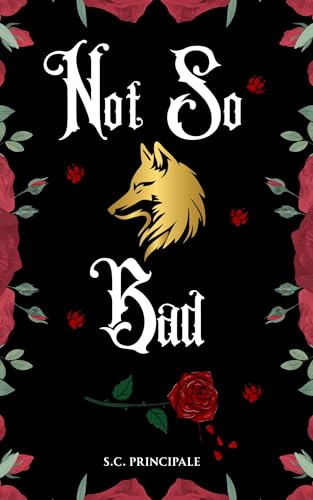 Not So Bad book cover