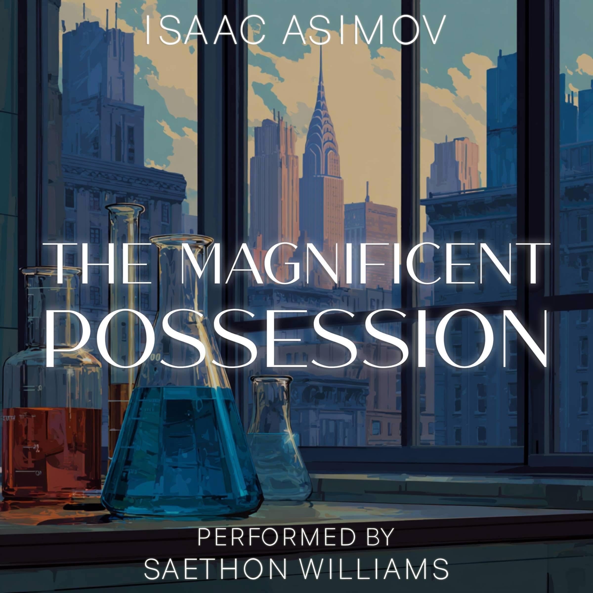 The Magnificent Possession book cover