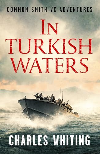 In Turkish Waters book cover