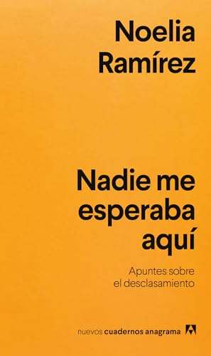 Nadie me esperaba aquí book cover