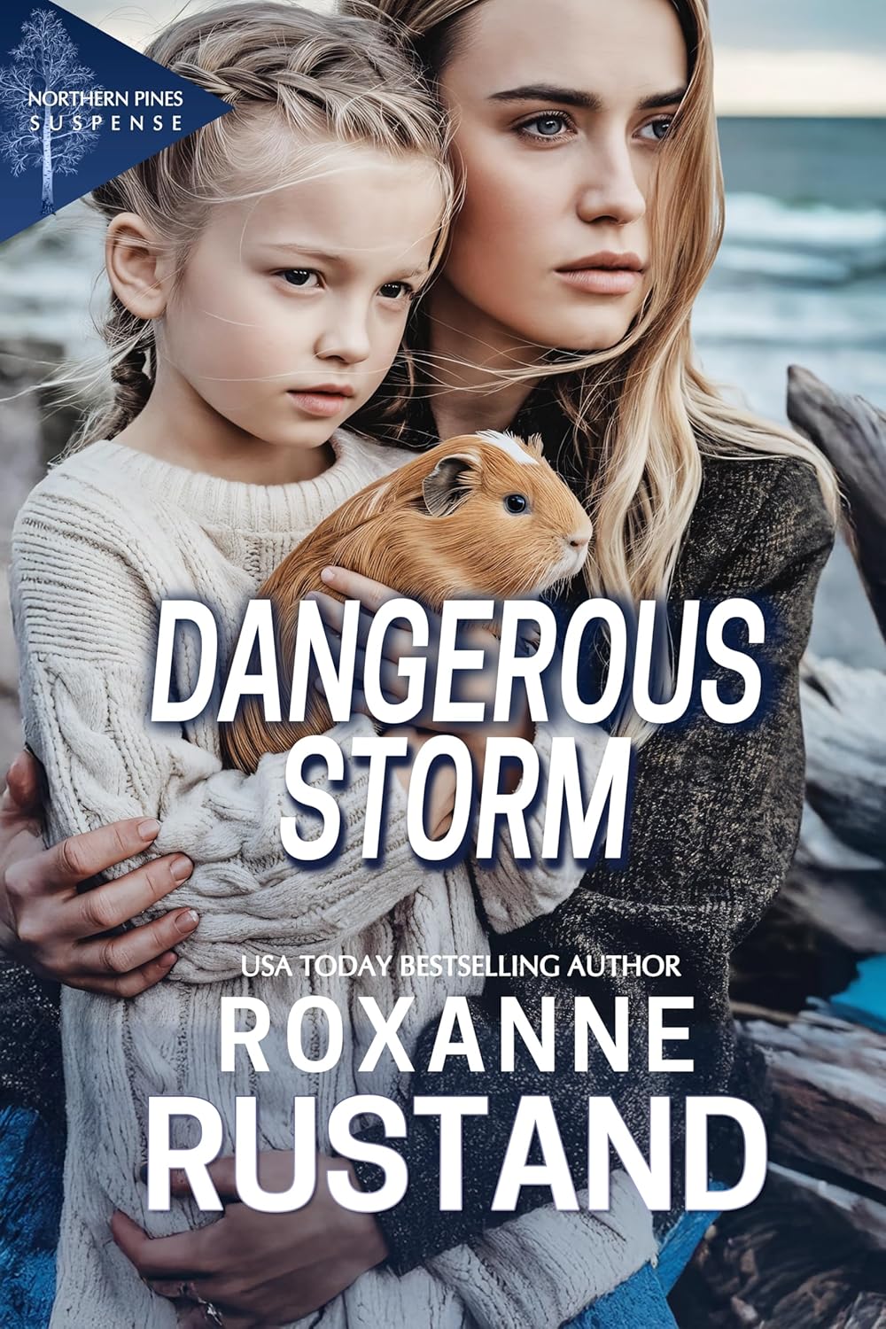 DANGEROUS STORM book cover