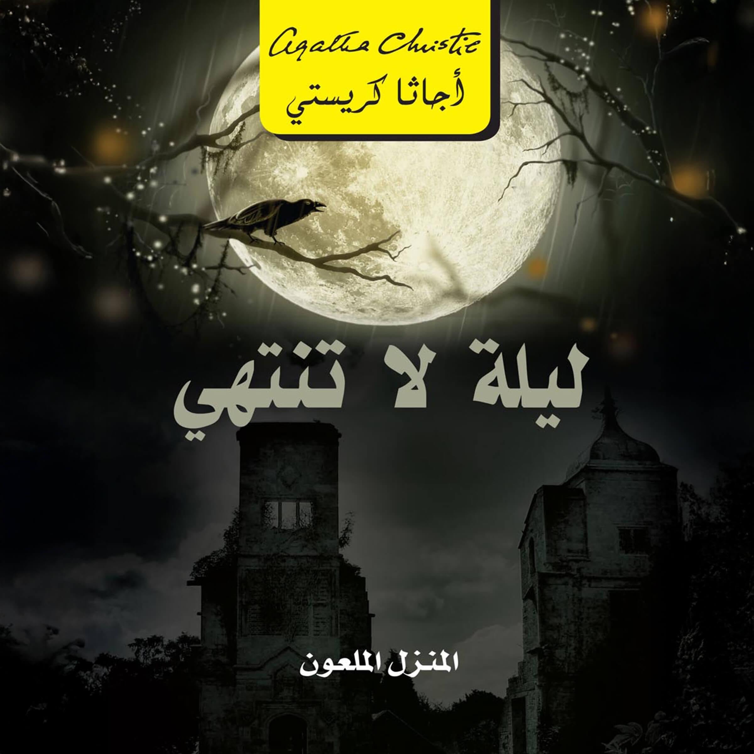 ليلة لاتنتهي [Endless Night] book cover