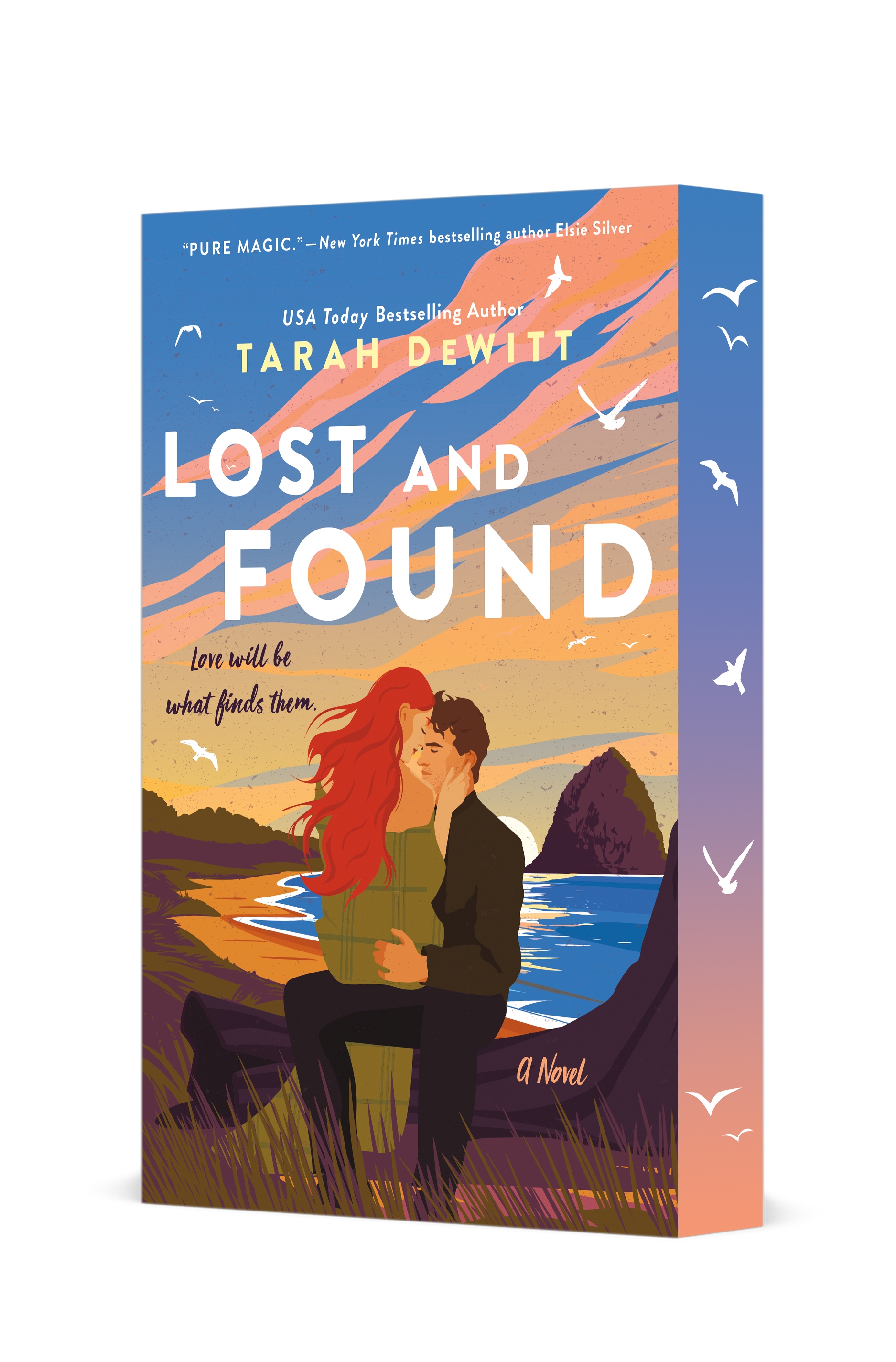 Lost and Found book cover