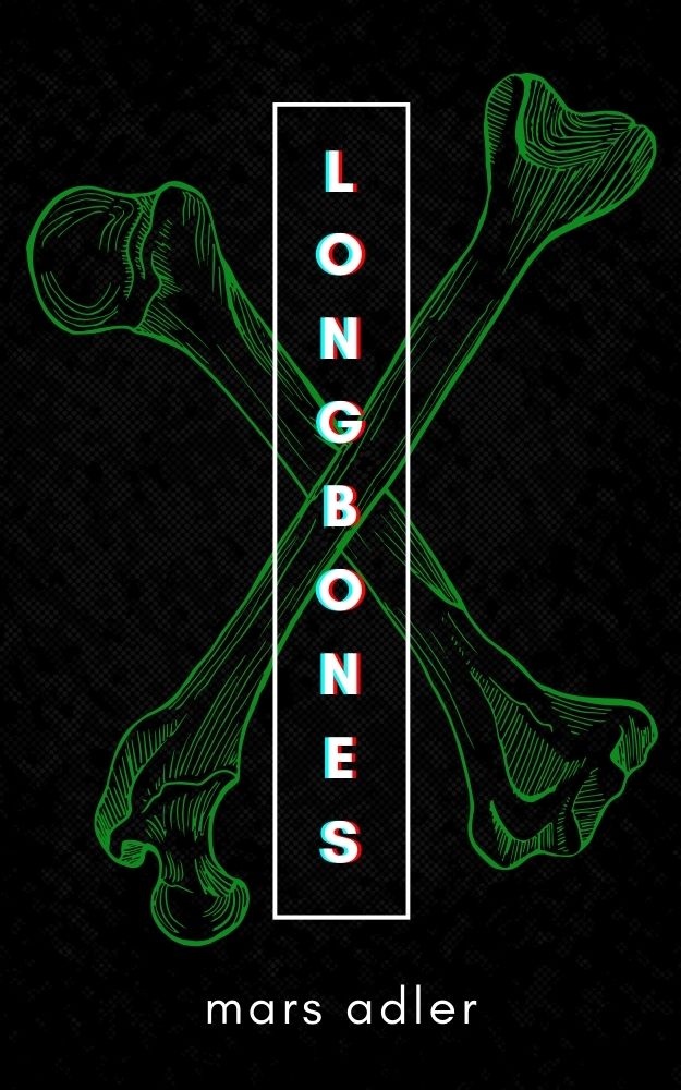LONGBONES book cover