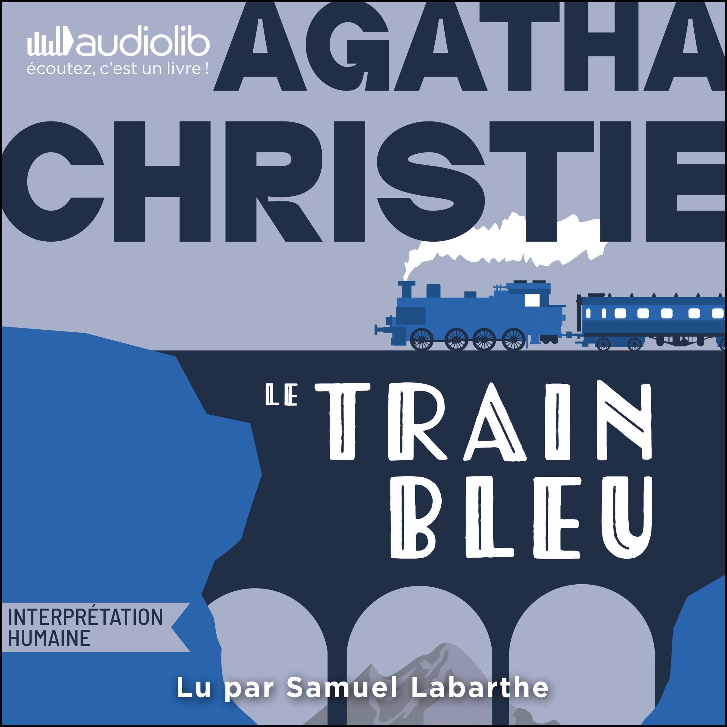 Le Train bleu book cover