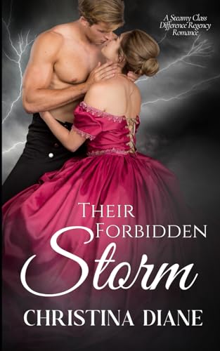 Their Forbidden Storm book cover