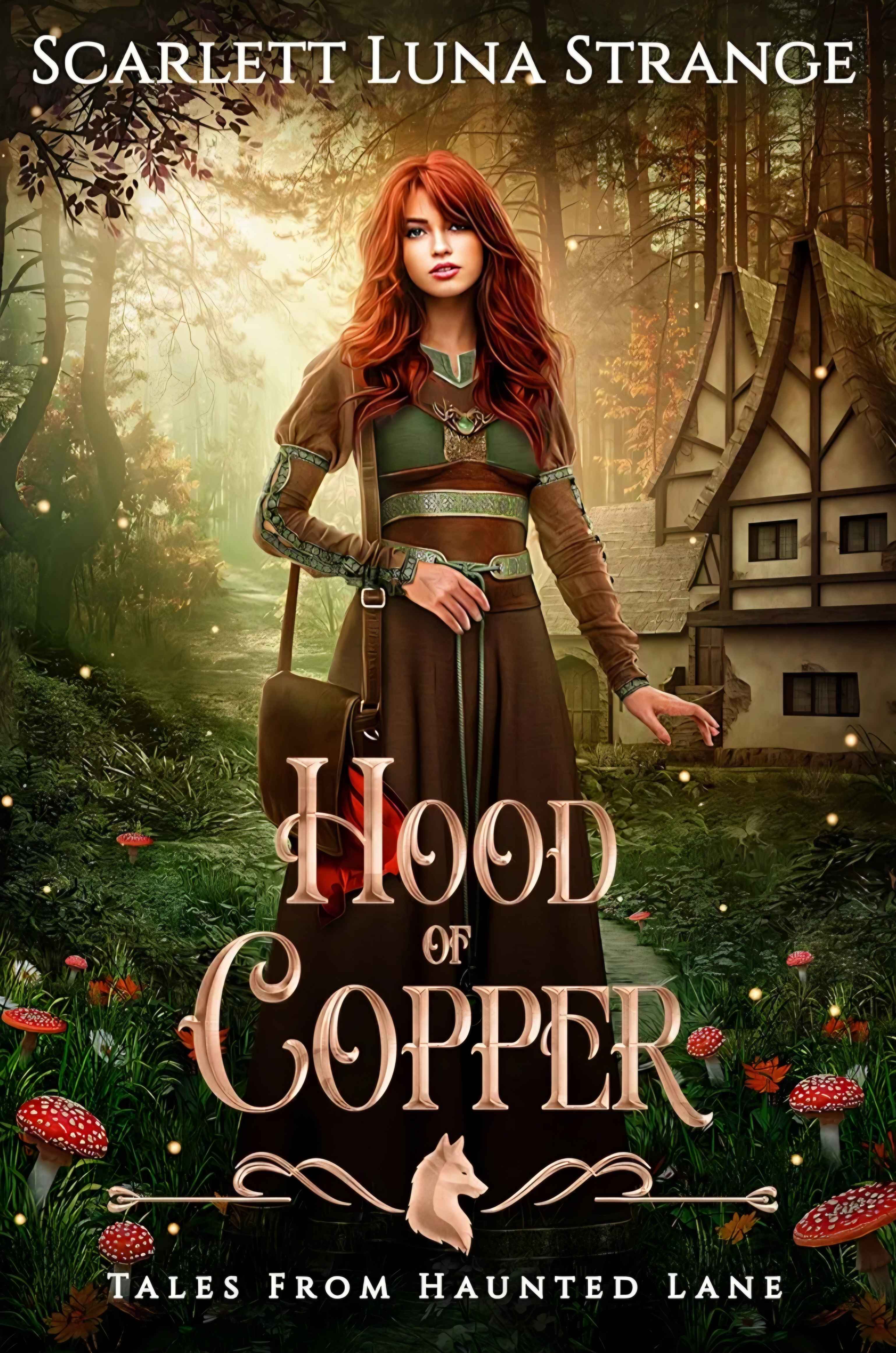 Hood of Copper book cover