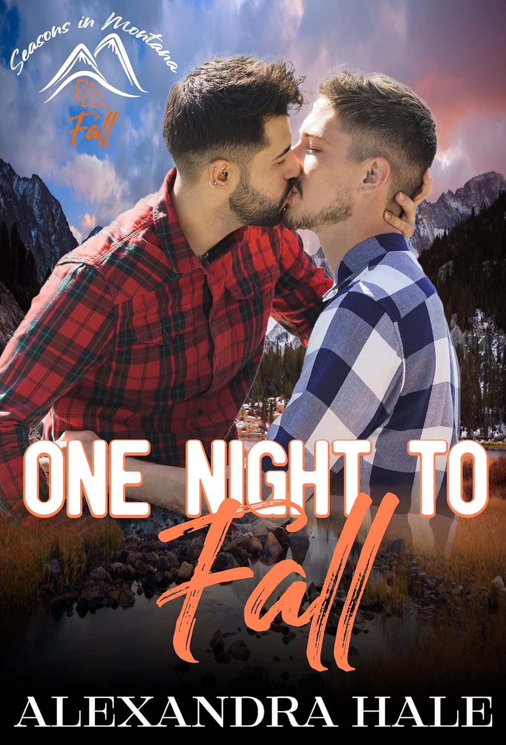 One Night to Fall book cover