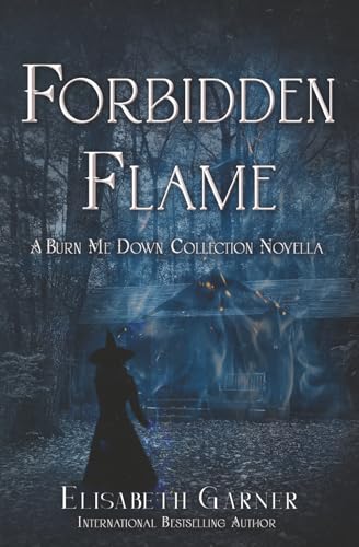 Forbidden Flame - A Burn Me Down Novella book cover