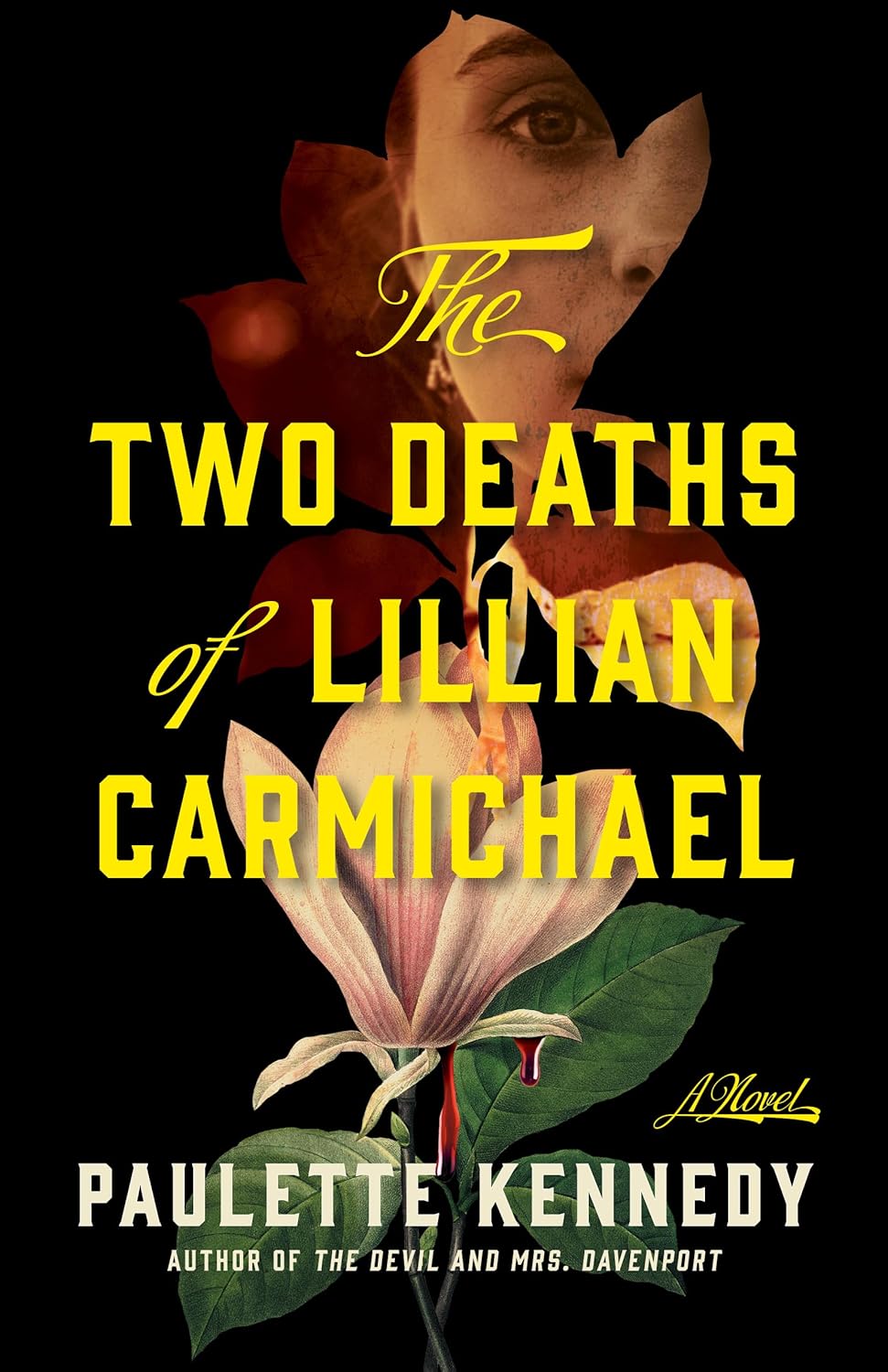 The Two Deaths of Lillian Carmichael book cover