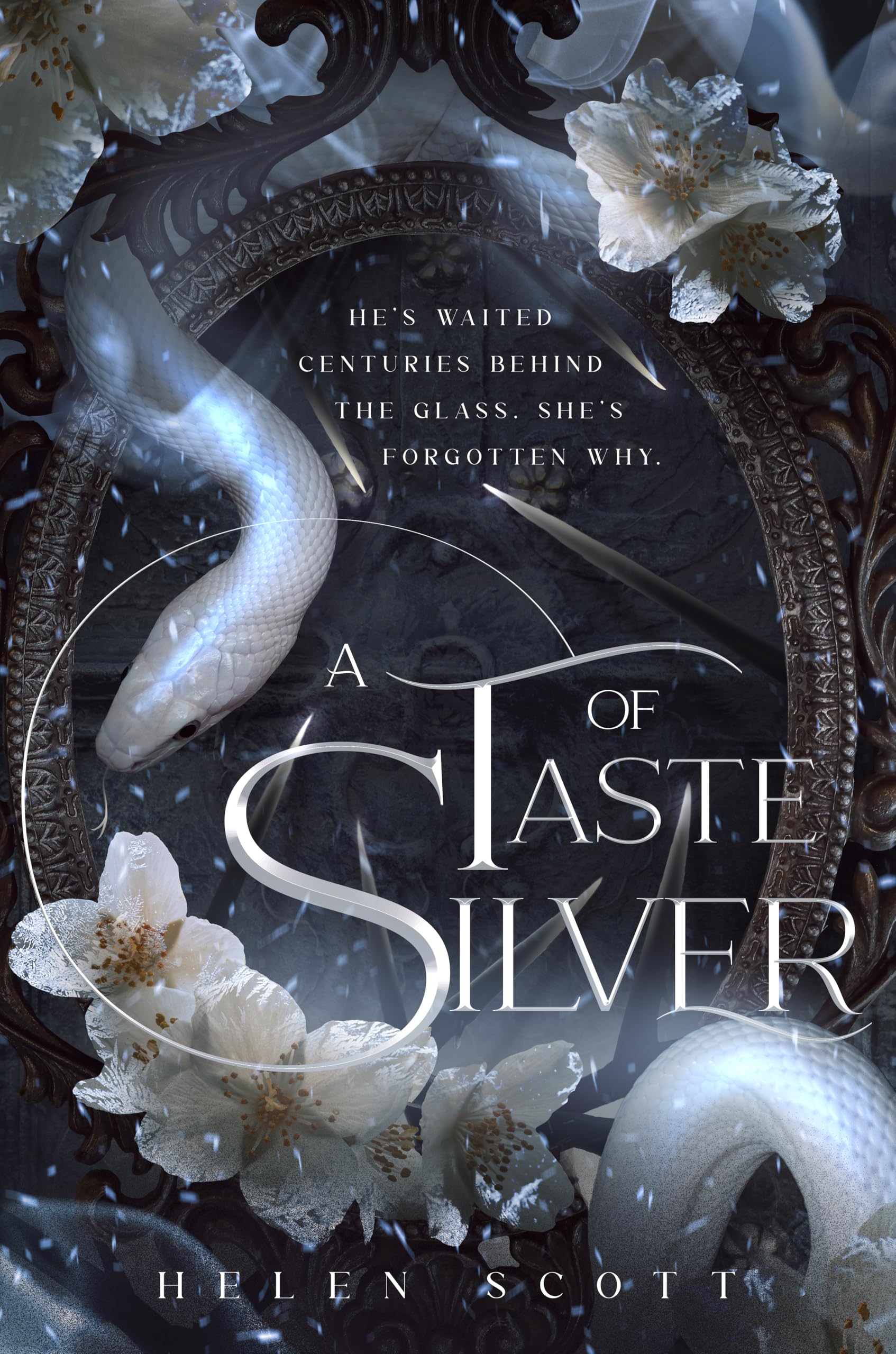 A Taste of Silver book cover