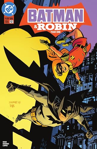 Batman & Robin book cover