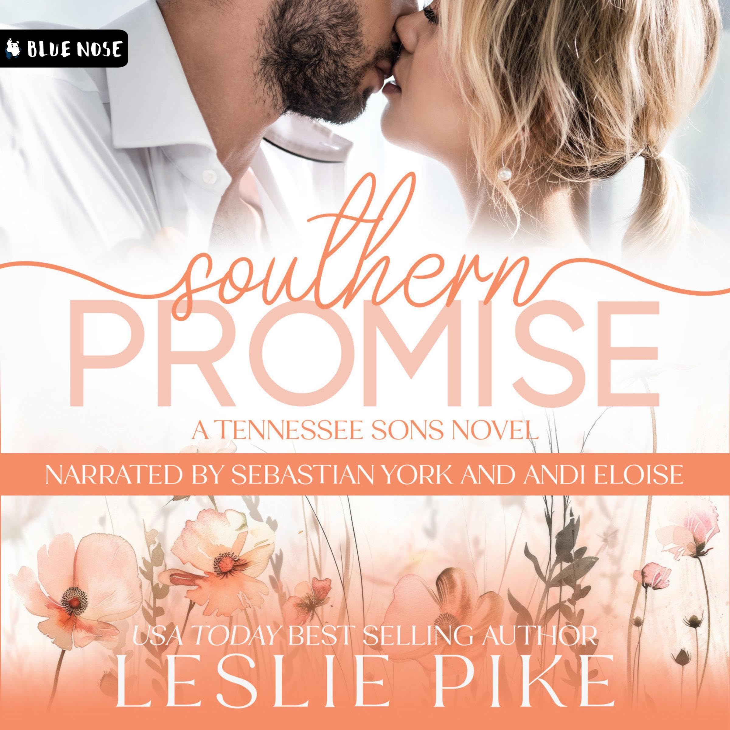 Southern Promise book cover