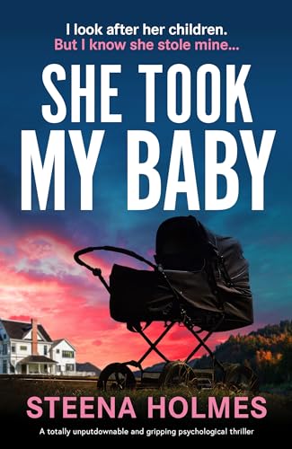 She Took My Baby book cover