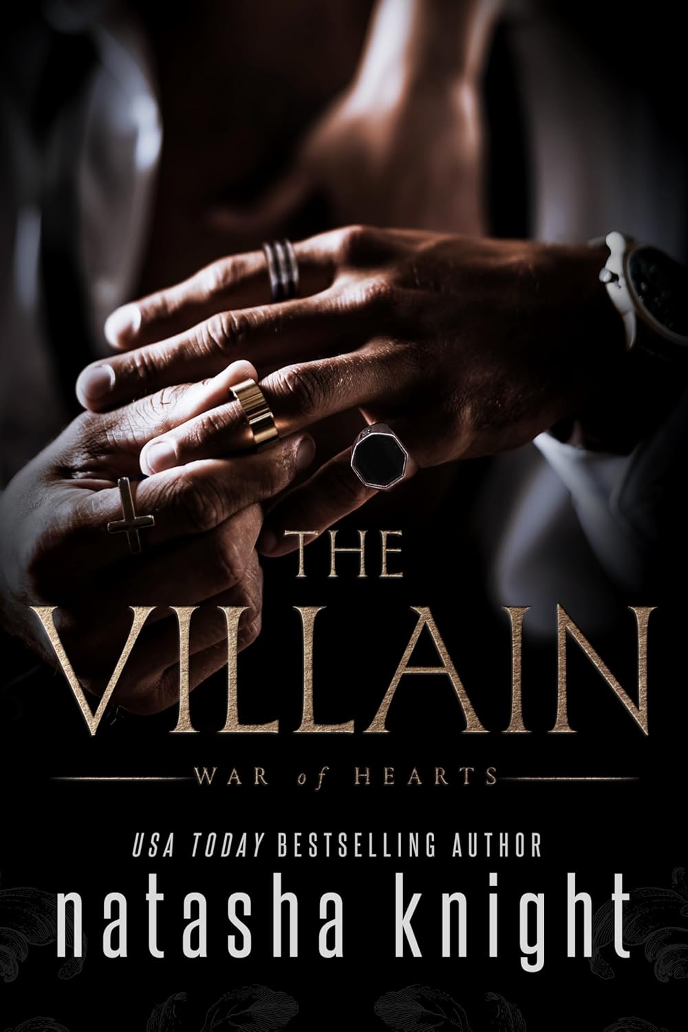 The Villain book cover