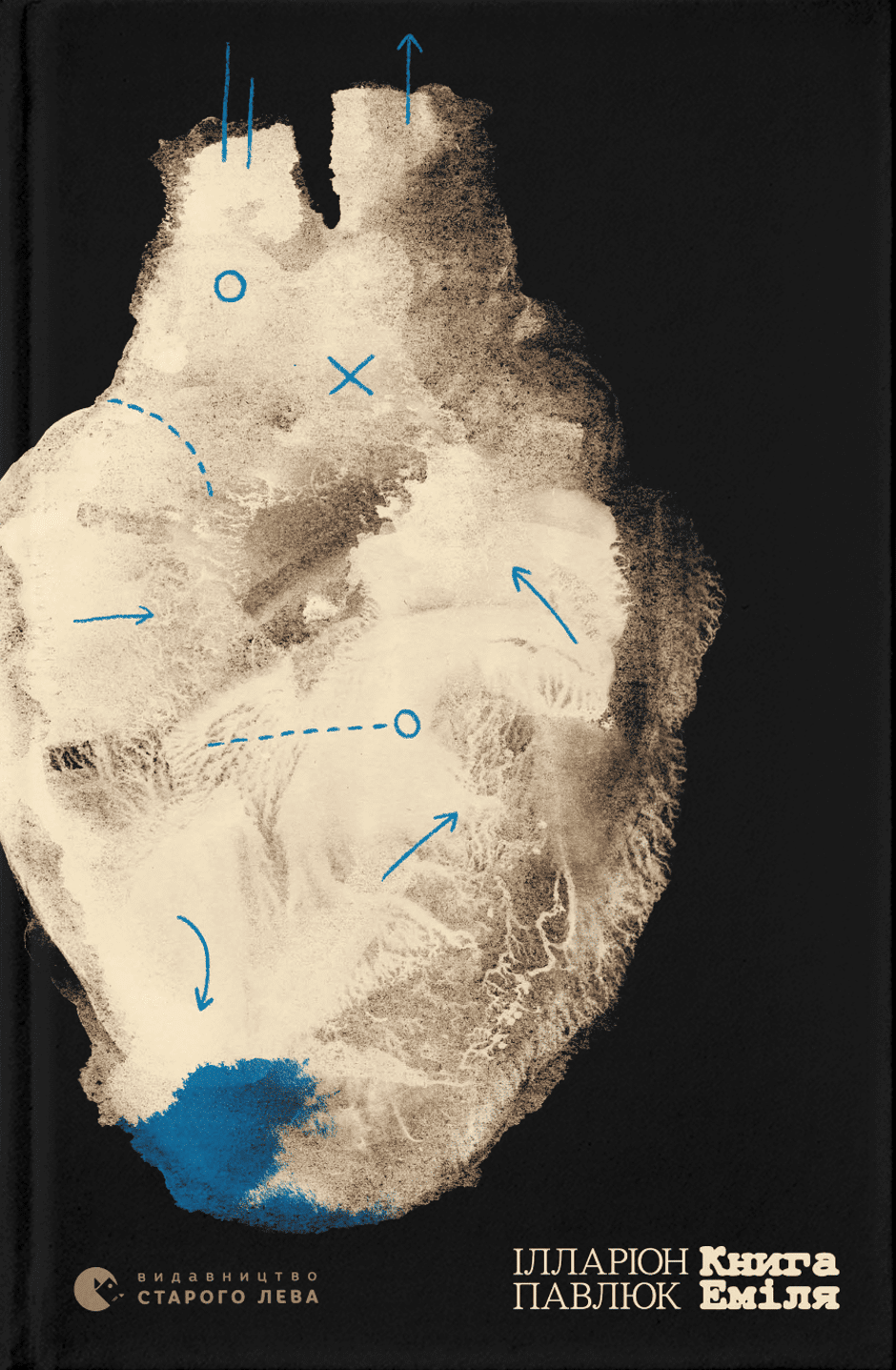 Книга Еміля book cover