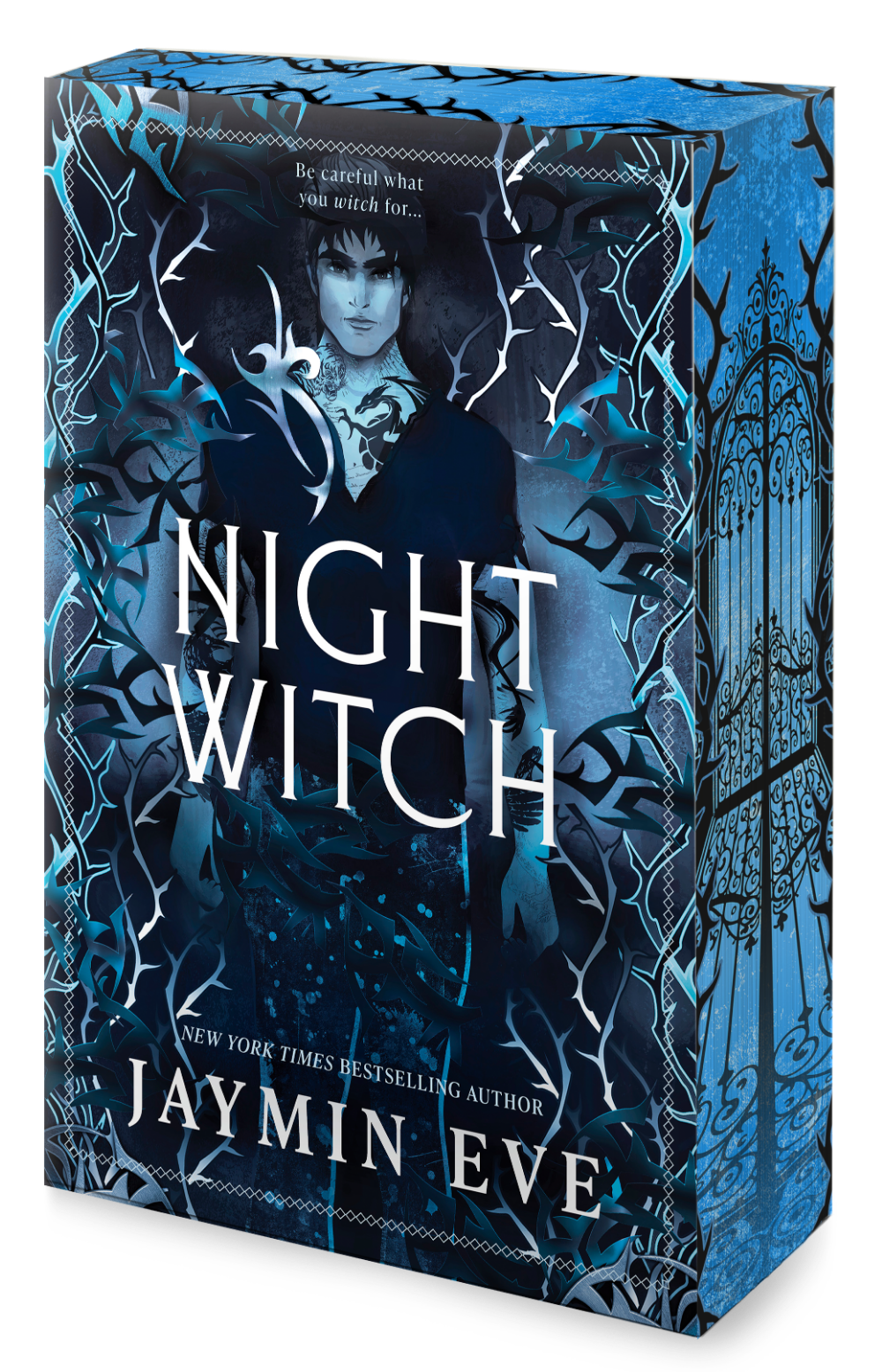 Night Witch book cover