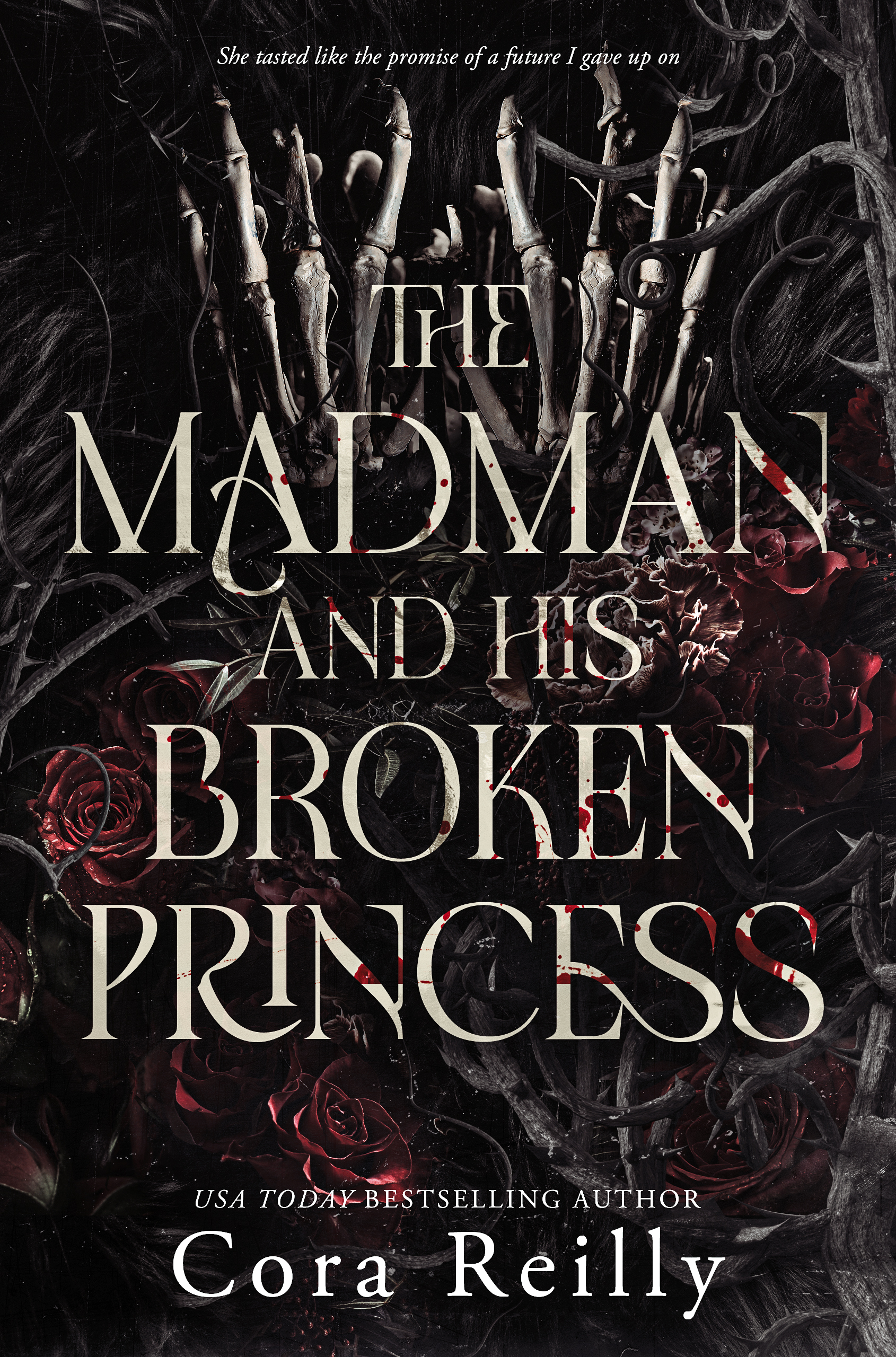 The Madman and His Broken Princess book cover