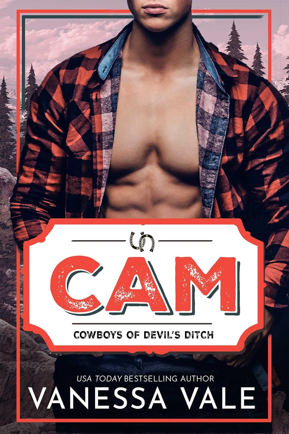 Cam book cover