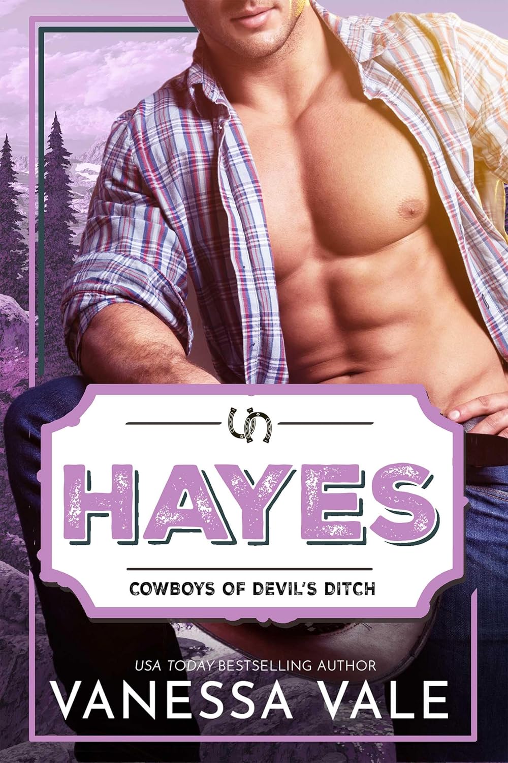 Hayes book cover
