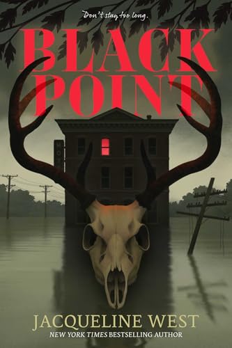 Black Point book cover