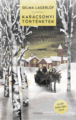Karácsonyi történetek book cover