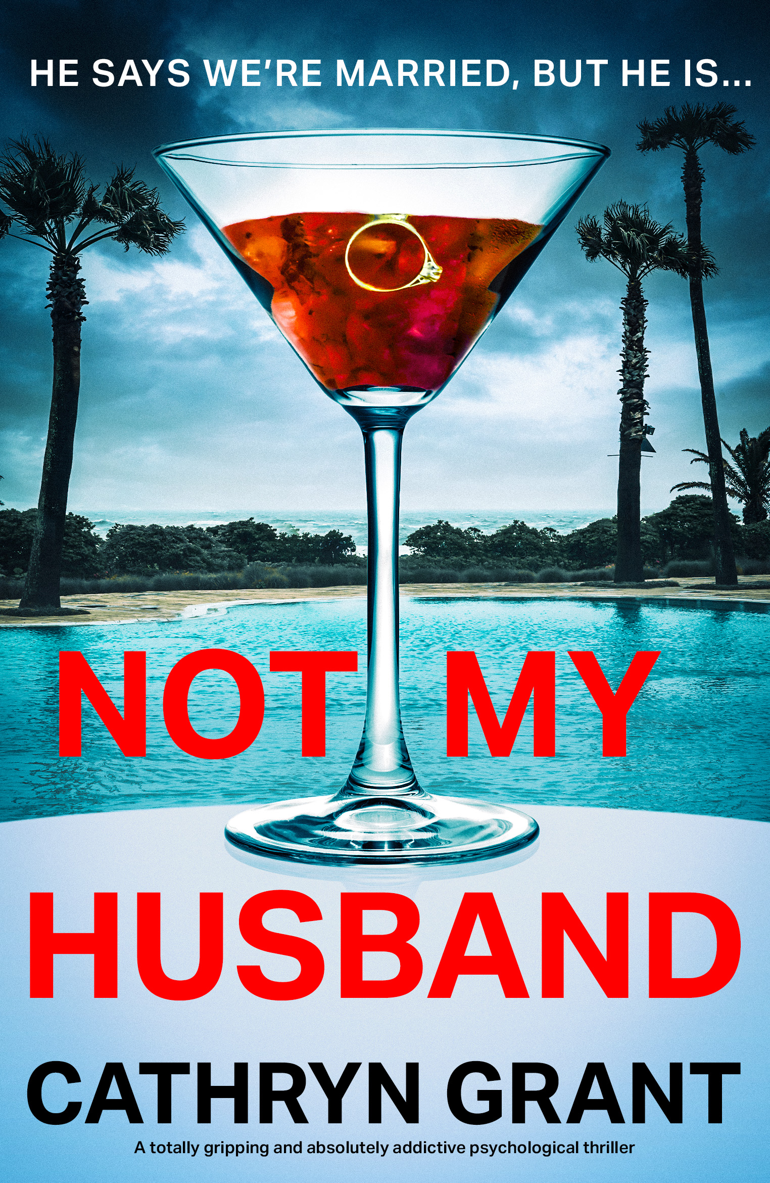 Not My Husband book cover
