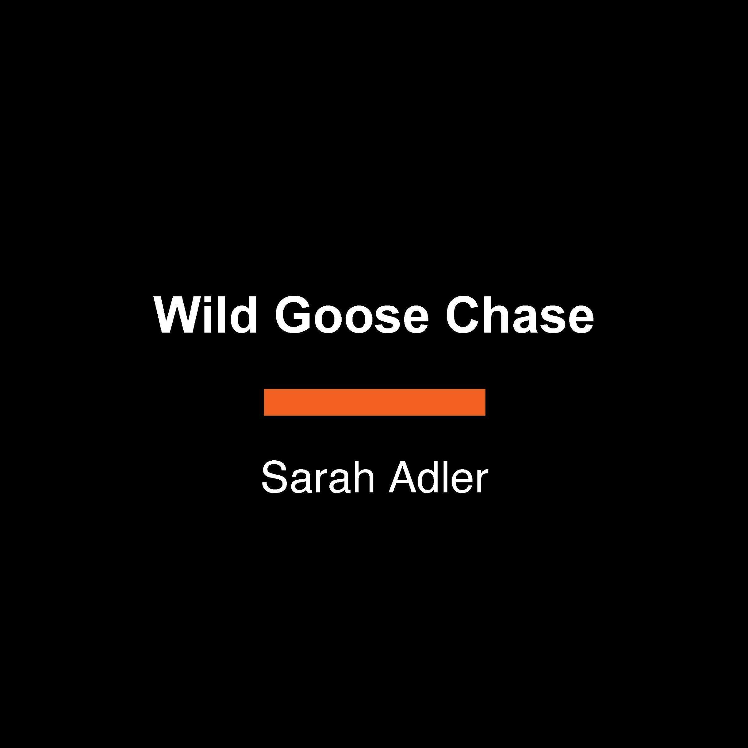 Wild Goose Chase book cover
