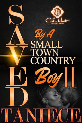 Saved By A Small Town Country Boy 2 book cover