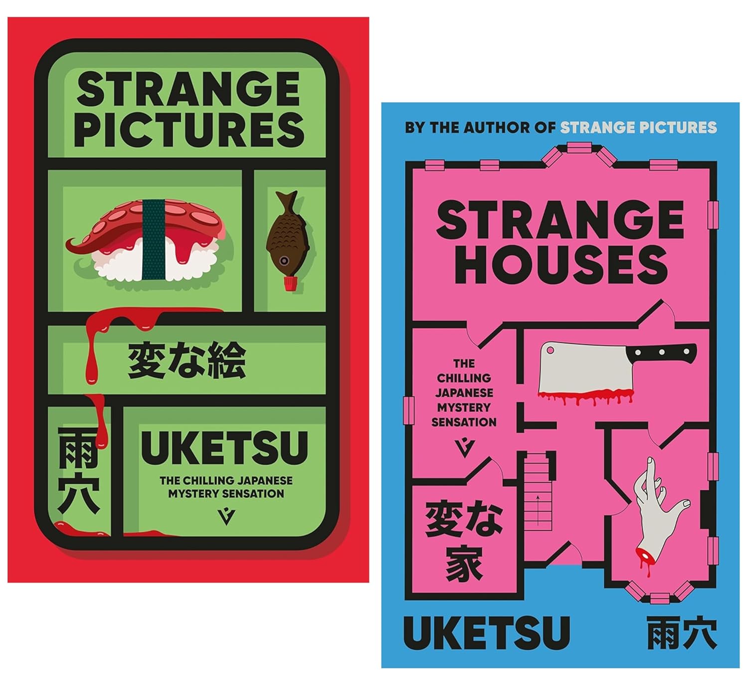 Strange Pictures / Strange Houses book cover