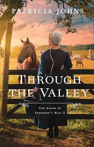 Through the Valley book cover