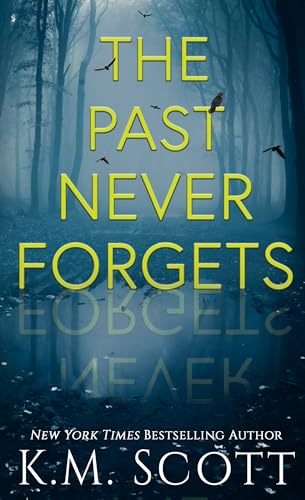 The Past Never Forgets book cover