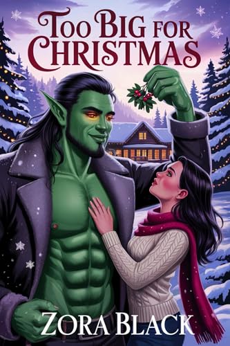 Too Big For Christmas book cover