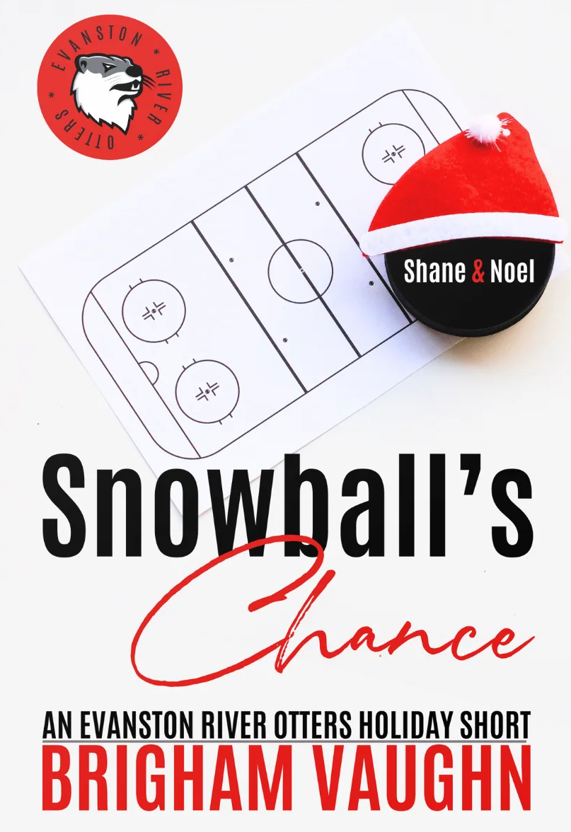 Snowball's Chance book cover