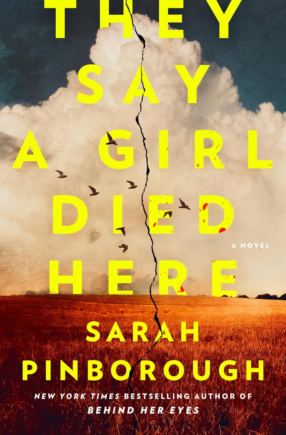 They Say a Girl Died Here Once book cover