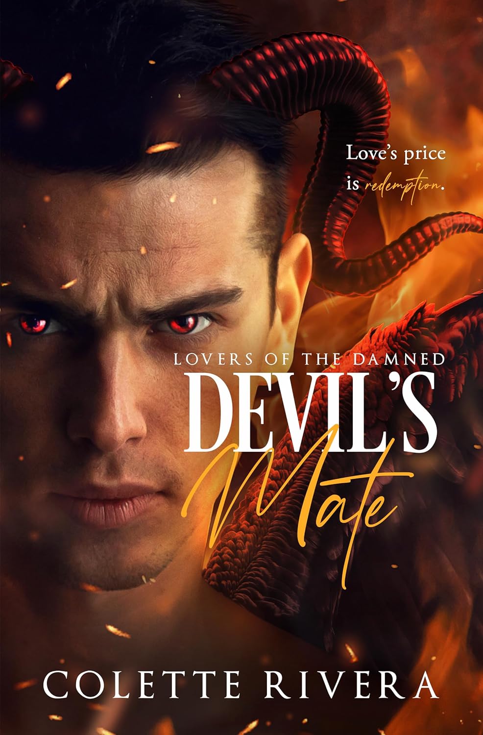 Devil's Mate book cover