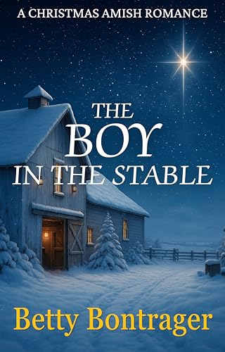 The Boy In The Stable book cover