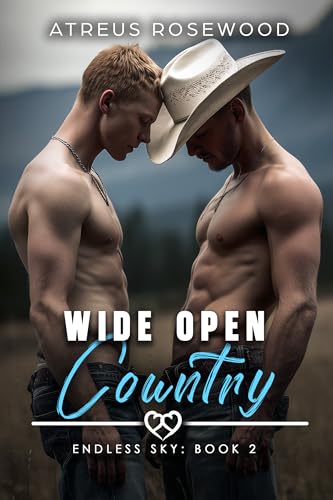 Wide Open Country book cover